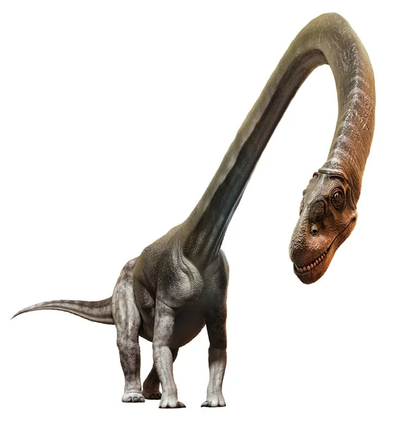 Omeisaurus 3D illustration — Stock Photo, Image