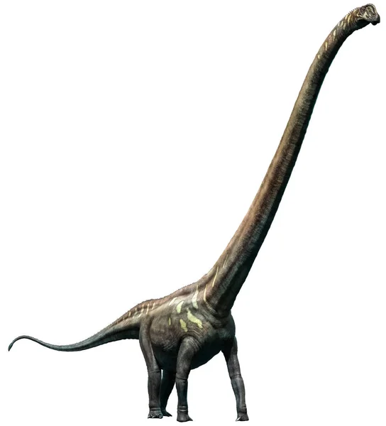 Mamenchisaurus 3D插图 — 图库照片