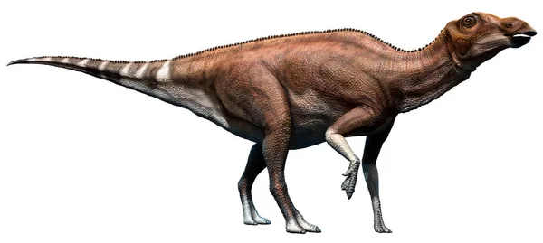 Brachylophosaurus 3D illustration — Φωτογραφία Αρχείου