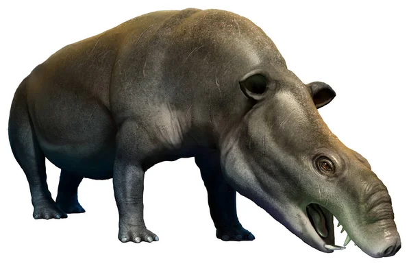 Moeritherium 3D иллюстрация — стоковое фото