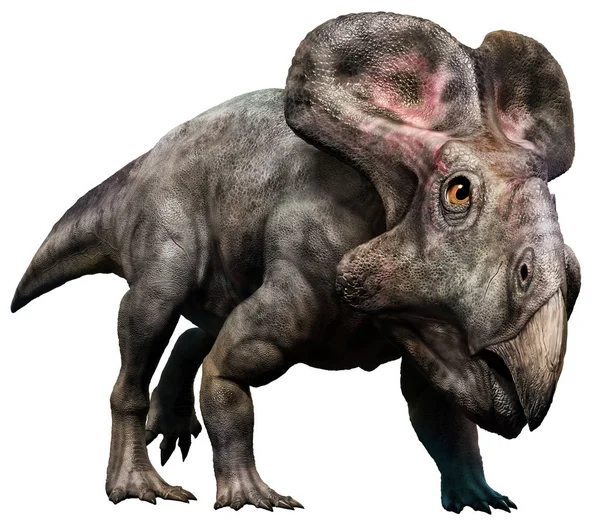 Protoceratops 3d çizim — Stok fotoğraf