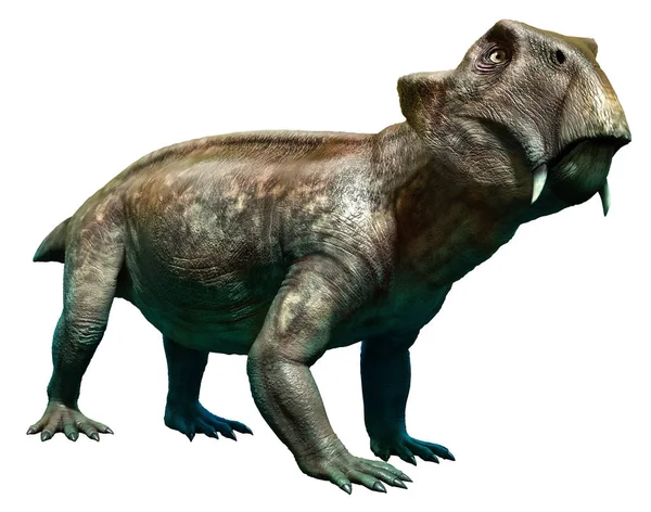 Lystrosaurus 3D illustration — Zdjęcie stockowe