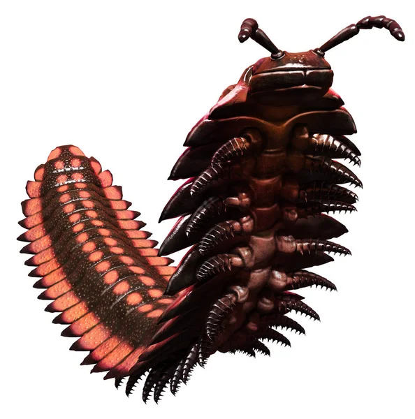 Arthropleura 3D illustration — ストック写真