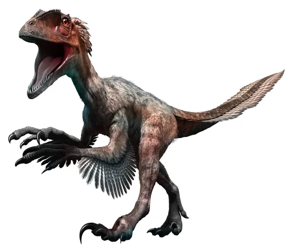 Deinonychus 3D illüstrasyon