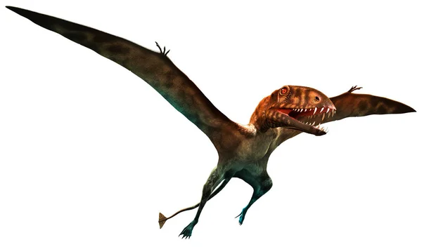 Dimorphodon 3D illustration — ストック写真