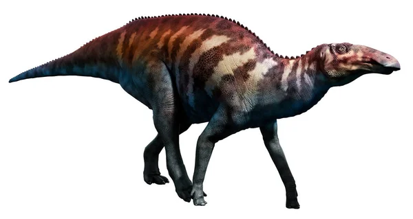 Edmontosaurus 3d çizim — Stok fotoğraf