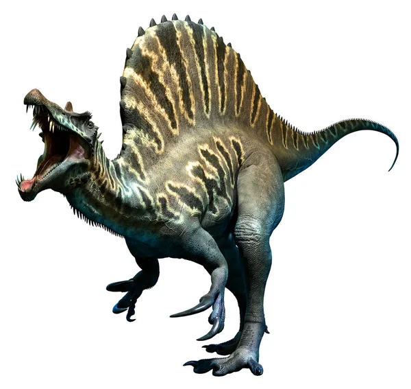 Spinosaurus 3 boyutlu illüstrasyon — Stok fotoğraf