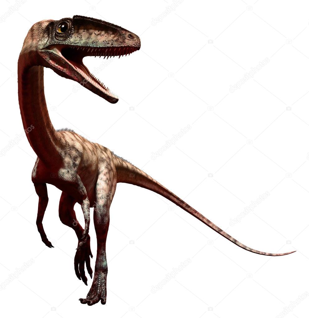 Coelophysis 3D illustration