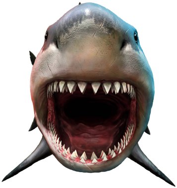 Köpekbalığı açık ağız 3d çizim ile
