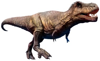 Tyrannosaurus from the Cretaceous era 3D illustration clipart