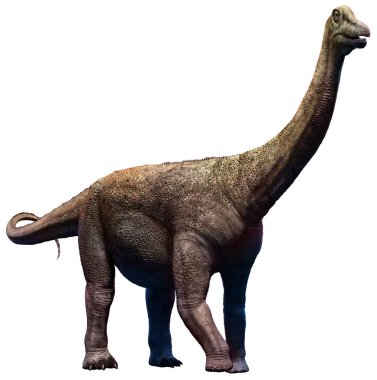Kretase çağı 3d çizim üzerinden Saltasaurus