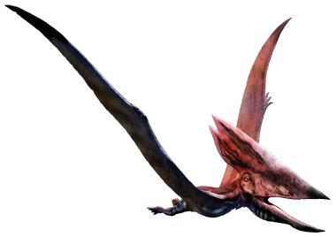 Kretase çağı 3d çizim üzerinden Thalassodromeus