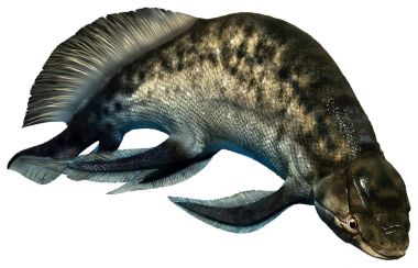 Devoniyen dönemde 3d çizim üzerinden Scaumenacia