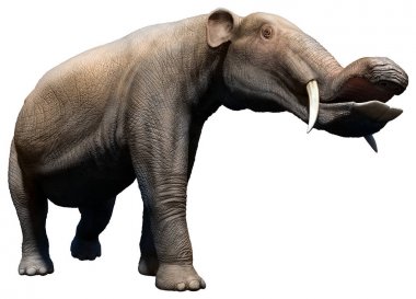 Tarih öncesi çağlardan 3d çizim üzerinden Platybelodon