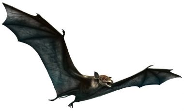 Icaronycteris İozin dönemi 3d çizim üzerinden