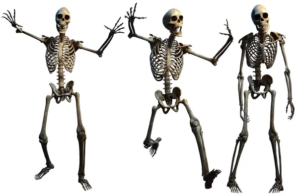 Grupp Skeletons3D Illustration — Stockfoto