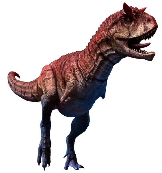 Carnotaurus Sastrei Illüstrasyon — Stok fotoğraf