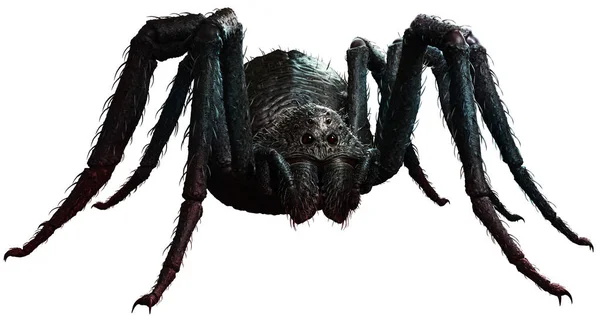 巨大なクモの — ストック写真