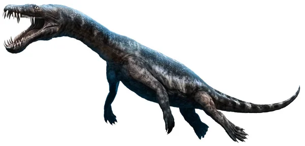 Nothosaurus Från Trias Eran Bilden — Stockfoto