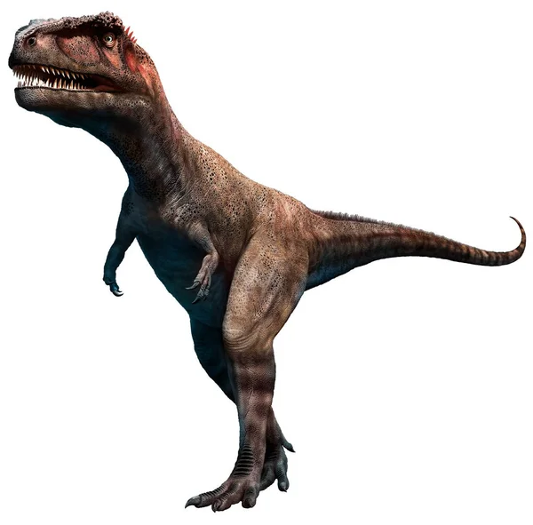 Mapusaurus Cretáceo Era Ilustração — Fotografia de Stock