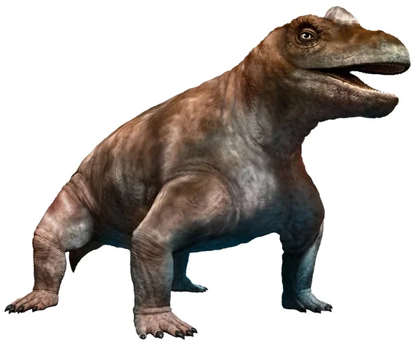 Keratocephalus Uit Prehistorie Illustratie — Stockfoto