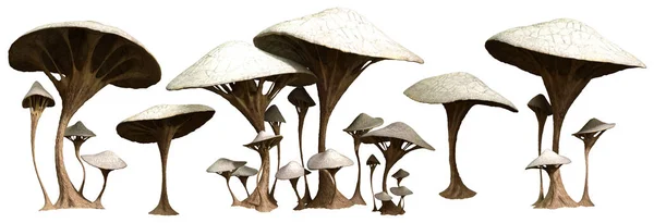 Funghi Alieni Illustrazione — Foto Stock