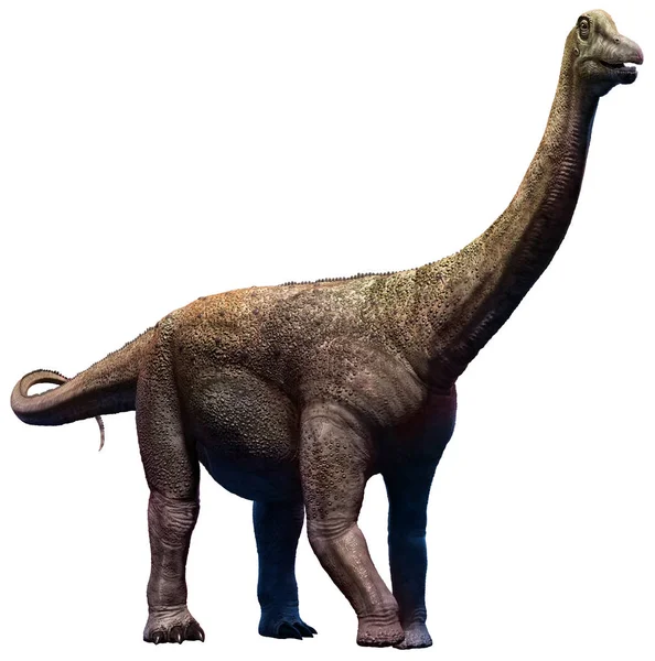 Saltasaurus Dell Era Cretacea Illustrazione — Foto Stock