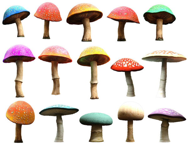 A selection of Mushrooms 3D illustration