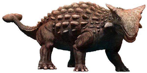Ankylosaurus Kretase çağı 3d çizim üzerinden