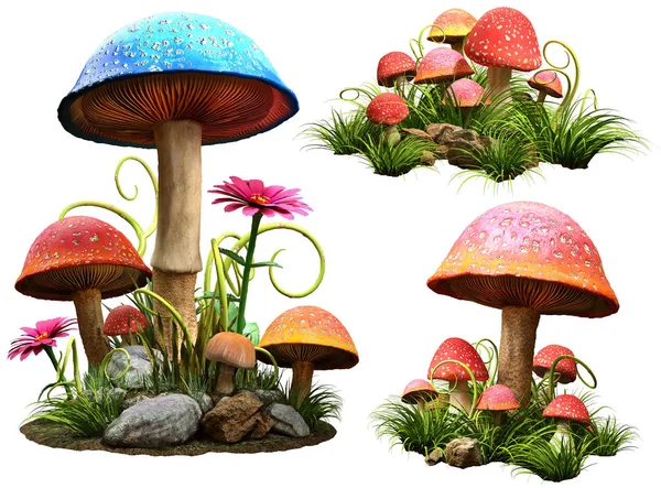 Groups Mushrooms Illustration — Stock Photo, Image