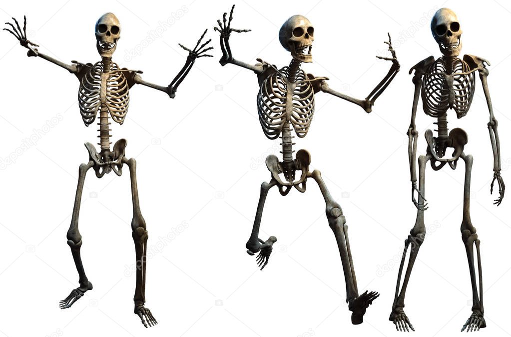 A group of skeletons3D illustration