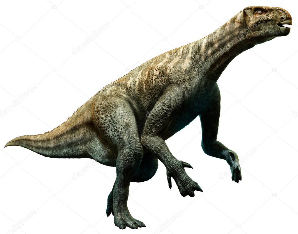 Iguanodon from the Cretaceous era 3D illustration