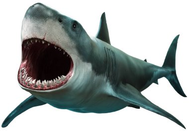 Büyük beyaz köpekbalığı 3d çizim