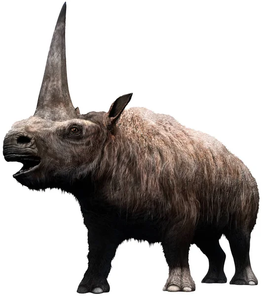 Elasmotherium 从史前时代3D — 图库照片