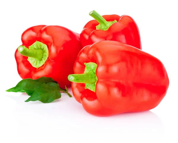 Drei rote Paprika mit Blatt isoliert auf weißem Hintergrund — Stockfoto