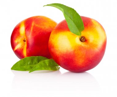 İki nektarin meyve yeşil yaprak üzerinde beyaz bir backgrou izole