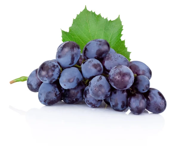 Fresh blue grapes with green leaf isolated on white background — Stock Photo, Image