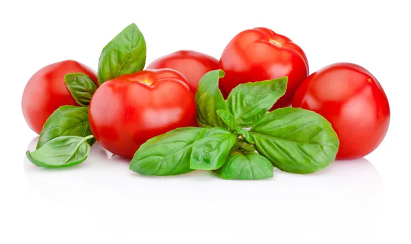 Čerstvá rajčata s bazalkou izolovaných na bílém pozadí — Stock fotografie