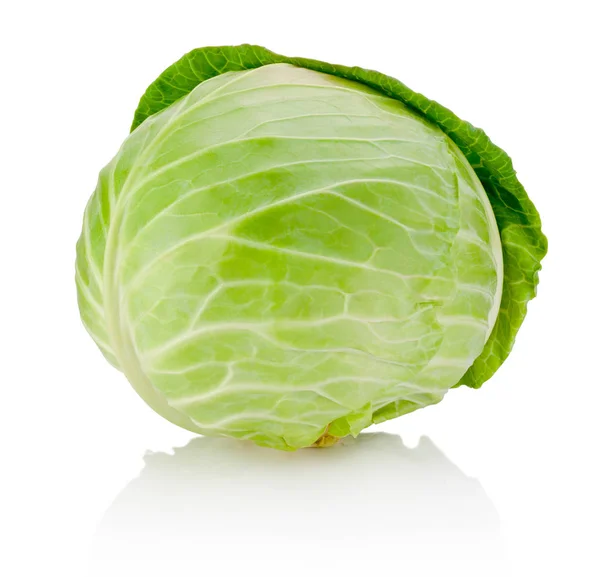 Head of cabbage isolated on white background — Stock Photo, Image