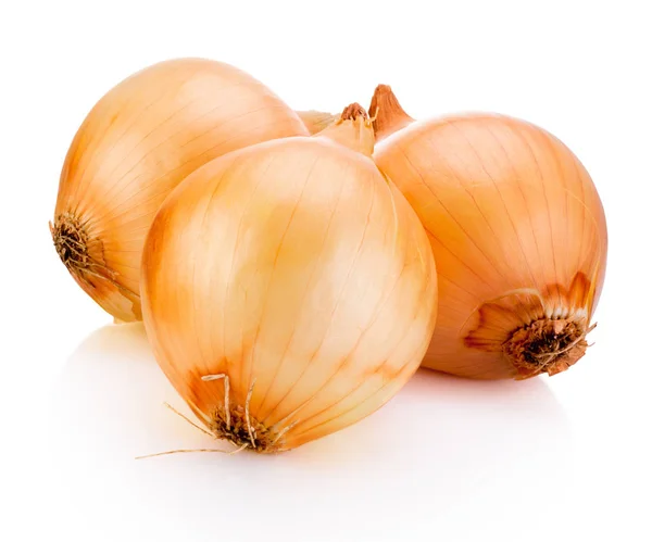 Three onion bulbs isolated on white background — Zdjęcie stockowe