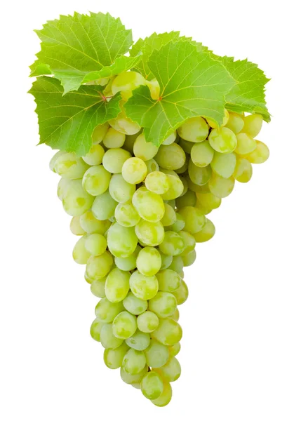 Verse groene druiven met bladeren opknoping geïsoleerd op witte backgro — Stockfoto