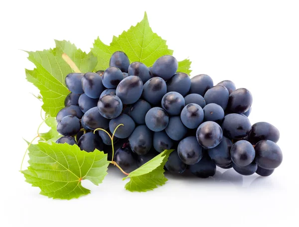 Frais Raisins Bleus Avec Des Feuilles Isolées Sur Fond Blanc — Photo