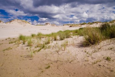 Kum tepeleri Polonya