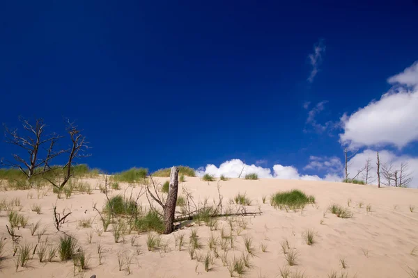 Sand dunes in Poland — Stock Photo, Image