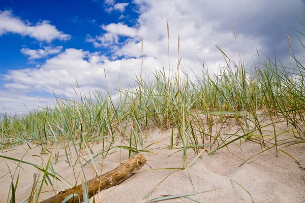 Sand dunes in Poland — Stock Photo, Image