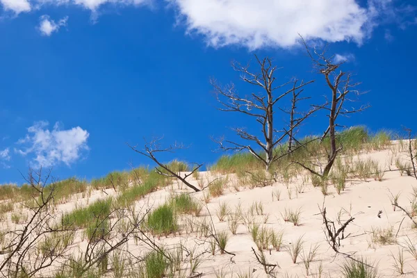 Sand dunes in Poland — Stock Photo, Image