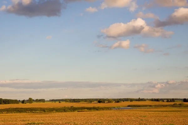 Fields in Poland — Stock Photo, Image