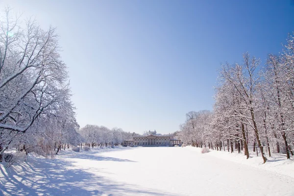 Snowy park a Varsavia — Foto Stock