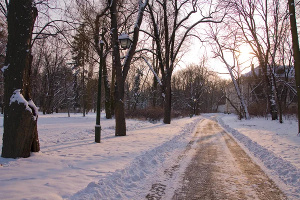 Sentiero innevato nel parco — Foto Stock