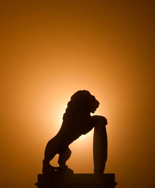 Силуэт льва вечером — стоковое фото